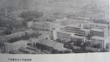 20100607021616539