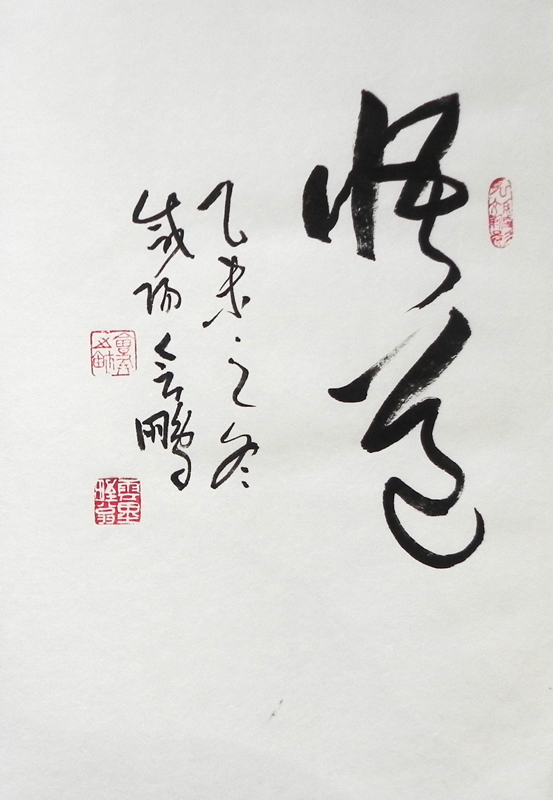 23